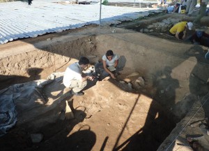 151 Dig